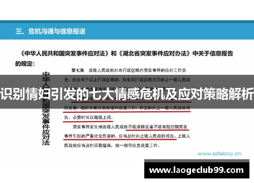 识别情妇引发的七大情感危机及应对策略解析