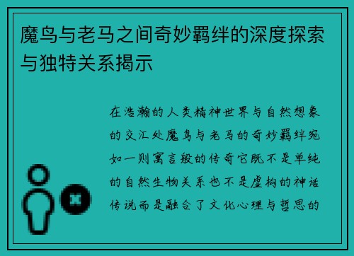 魔鸟与老马之间奇妙羁绊的深度探索与独特关系揭示