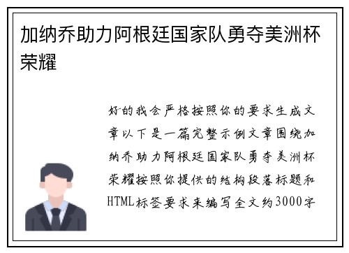 加纳乔助力阿根廷国家队勇夺美洲杯荣耀